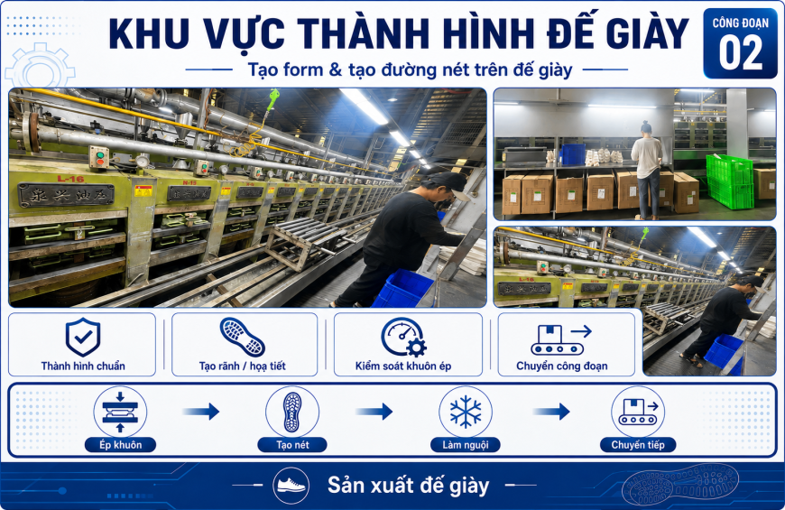Khu Vực Định Hình Và Tạo Nét